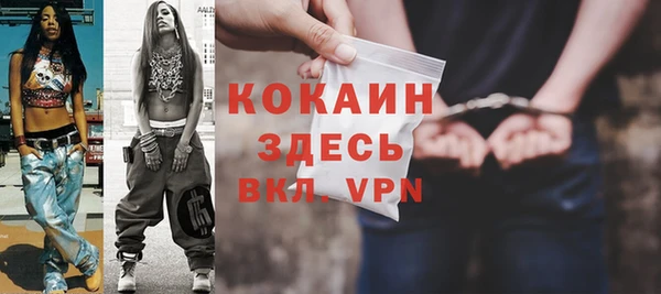 индика Сафоново