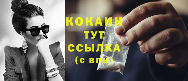 соль ск Абаза
