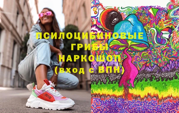 бошки Сатка